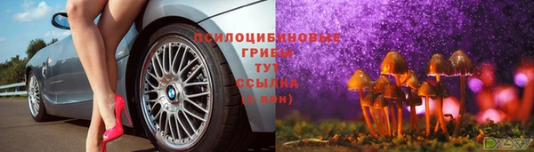 PSILOCYBIN Баксан