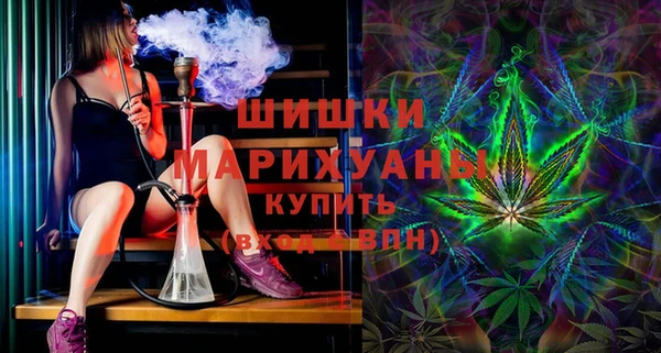 PSILOCYBIN Баксан