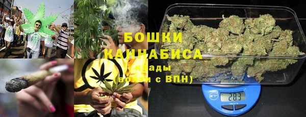 шишки Балабаново