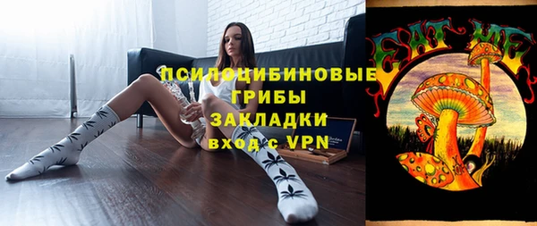 шишки Балабаново