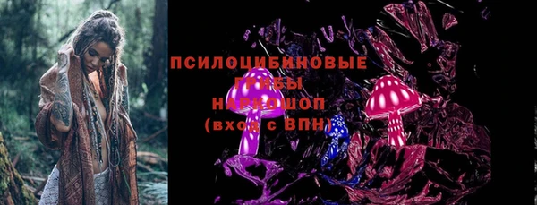 PSILOCYBIN Баксан