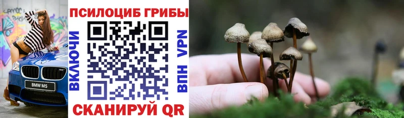 Псилоцибиновые грибы Psilocybe Красный Сулин